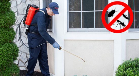 Çeşmealtı Fare İlaçlama böcek ilaçlama ve haşere kontrolü — ilaclama-tr.com